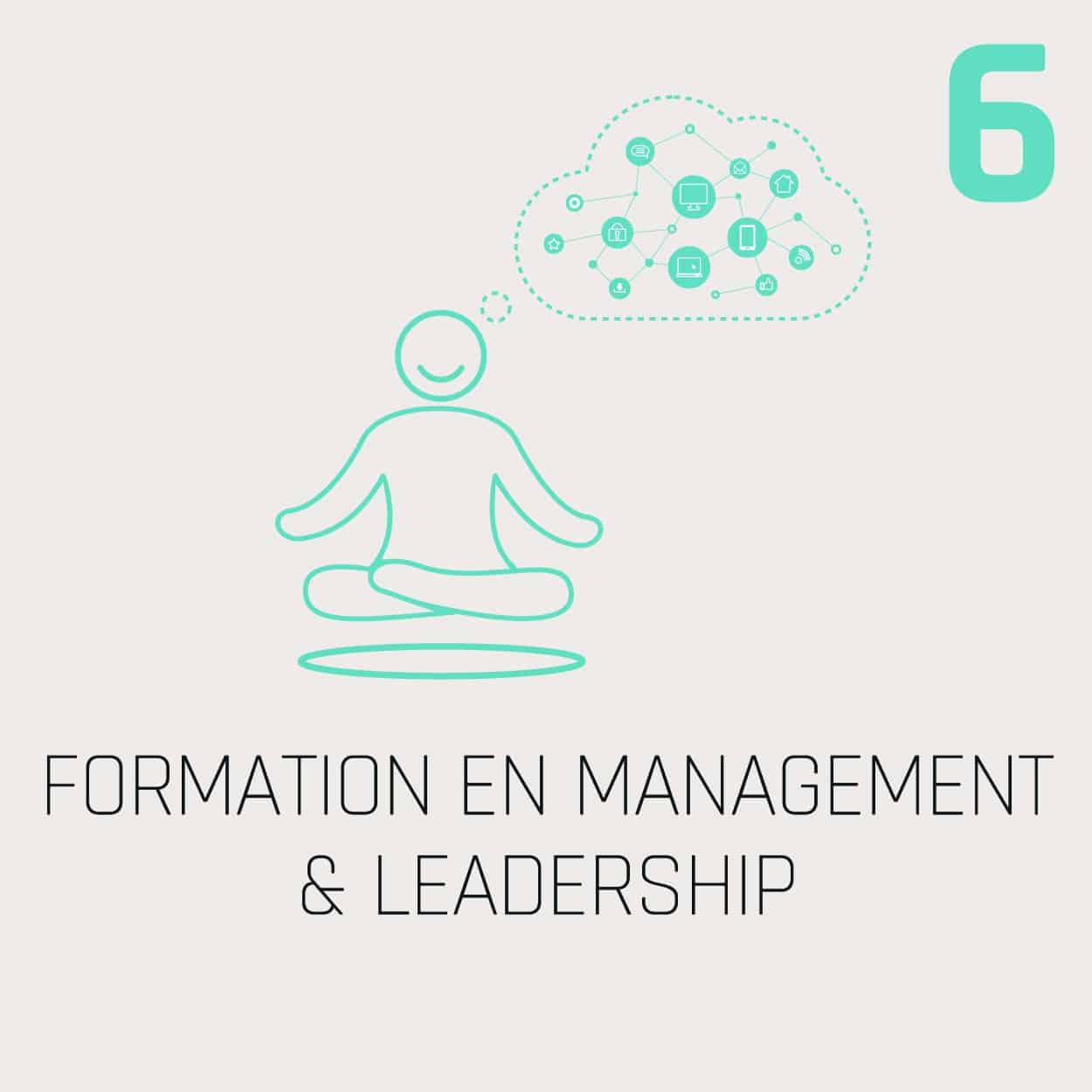 FORMATION EN MANAGEMENT & LEADERSHIP